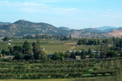 The view looking north from the viewpoint on McCulloch Road towards Dilworth Mountain.
