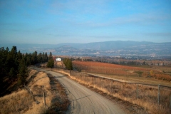The view of an orchard looking west towards Okanagan Lake.