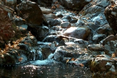 Low flows in Canyon Creek in the Fall.