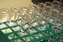 Test tubes in the water quality lab.